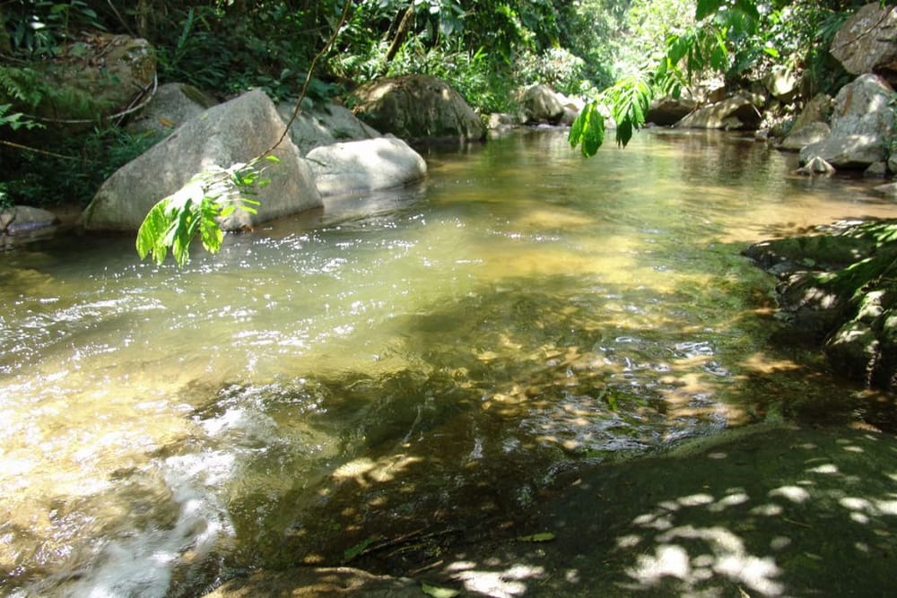 Autoridades capturaron a asesino de niña de 12 años en Santander imagen de la publicación