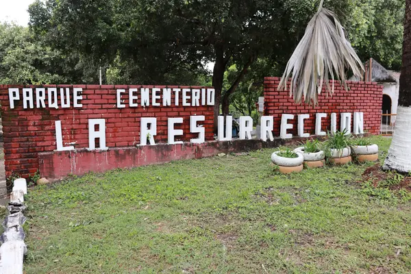 Recuperan 31 cuerpos de desaparecidos en cementerio de Barrancabermeja imagen de la publicación