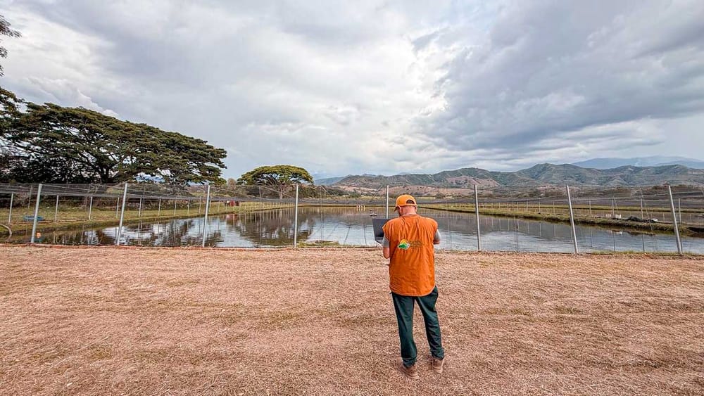 Entregan predios de alias ‘Don Diego’ a víctimas de la violencia imagen de la publicación