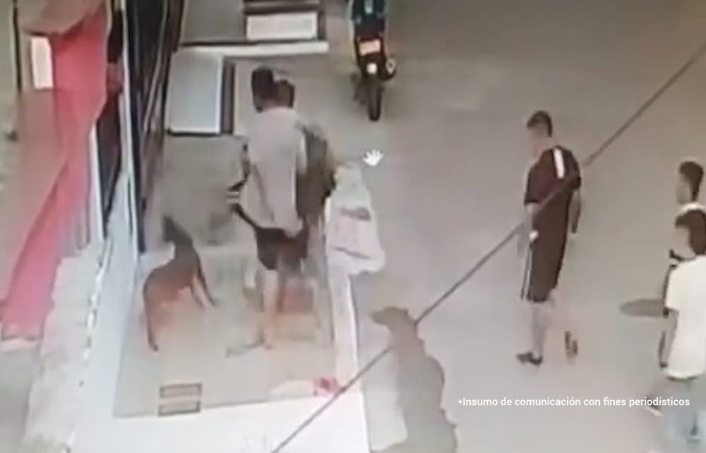 La Modelo recibe como inquilinos dos bárbaros que se la pasaban desviviendo perritos imagen de la publicación