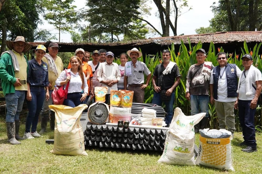 Reforestación para recuperar terrenos para ganadería en Cimitarra imagen de la publicación