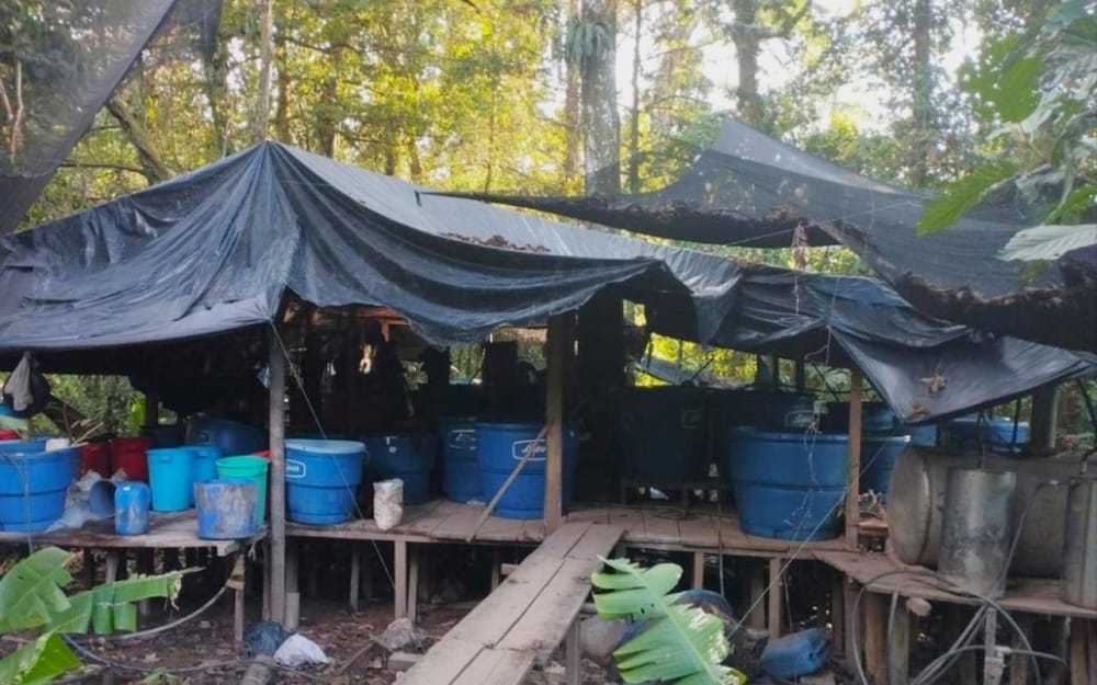 Desmantelado laboratorio de coca perteneciente al ELN en Ocaña imagen de la publicación