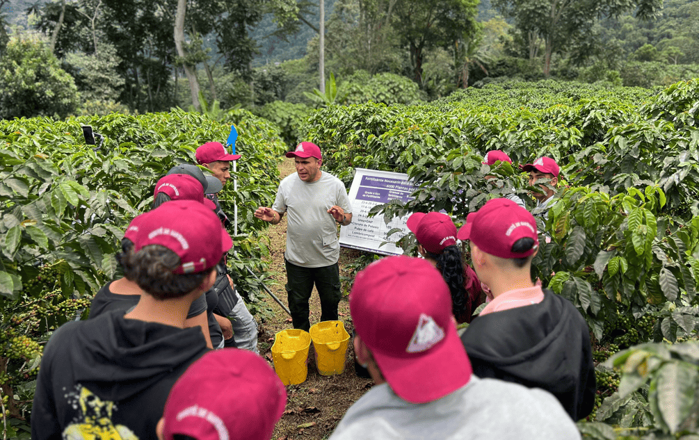 Escuela del Café siembra futuro para los jóvenes del departamento imagen de la publicación