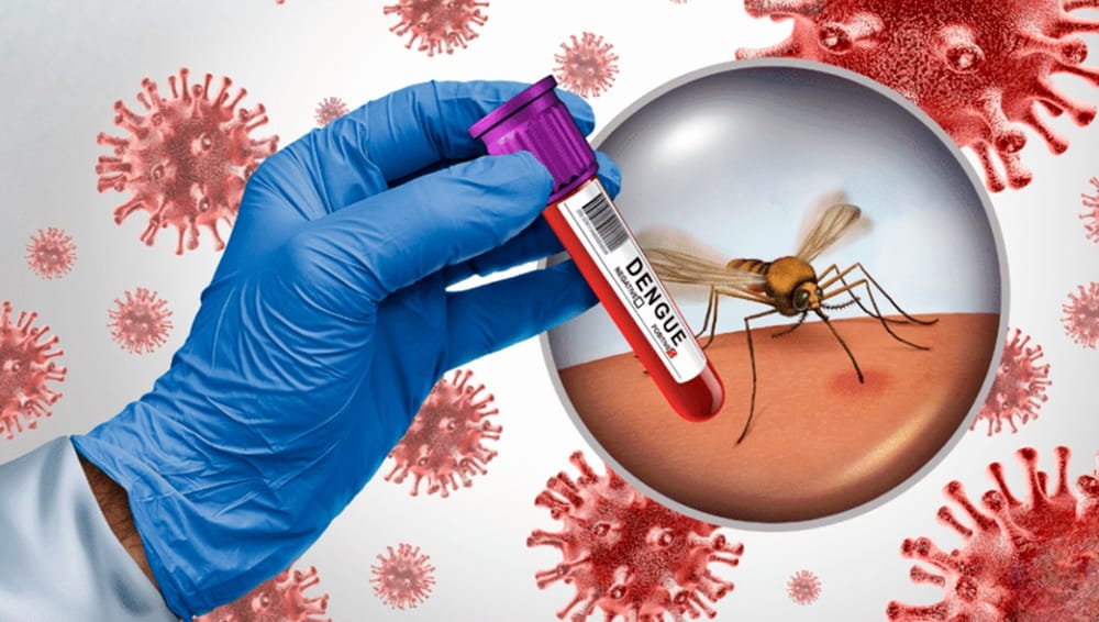 Menores de 15 años los más  afectados por dengue en Bucaramanga imagen de la publicación