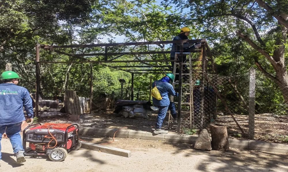 Eliminadas construcciones ilegales que amenazaban cuencas hídricas imagen de la publicación