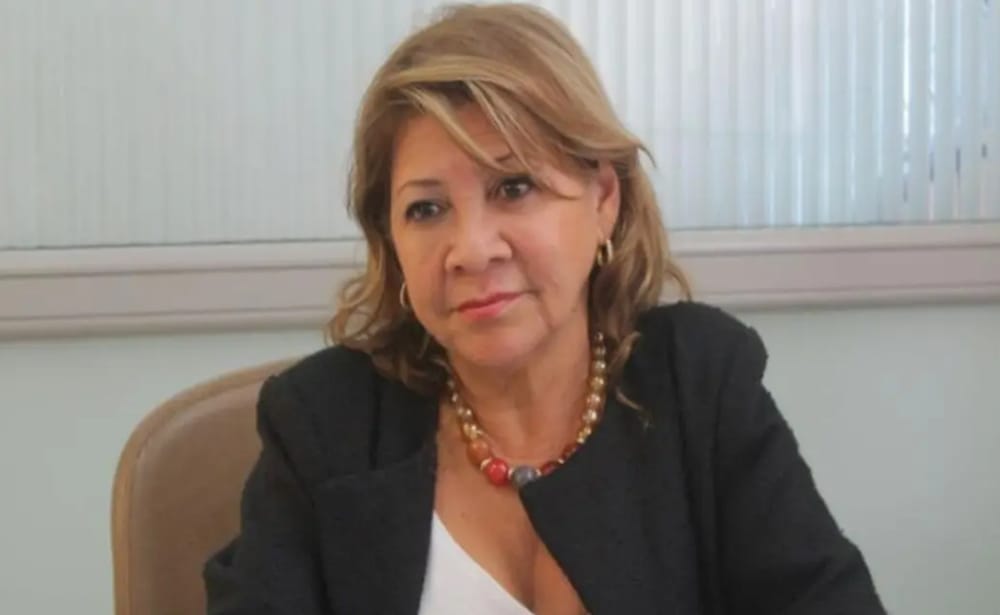 Imputan cargos a exsecretaria de educación de Santander por irregular  contratación en el PAE imagen de la publicación