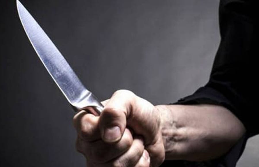 Carnicero cogió a cuchilladas a una mascota en Girón imagen de la publicación