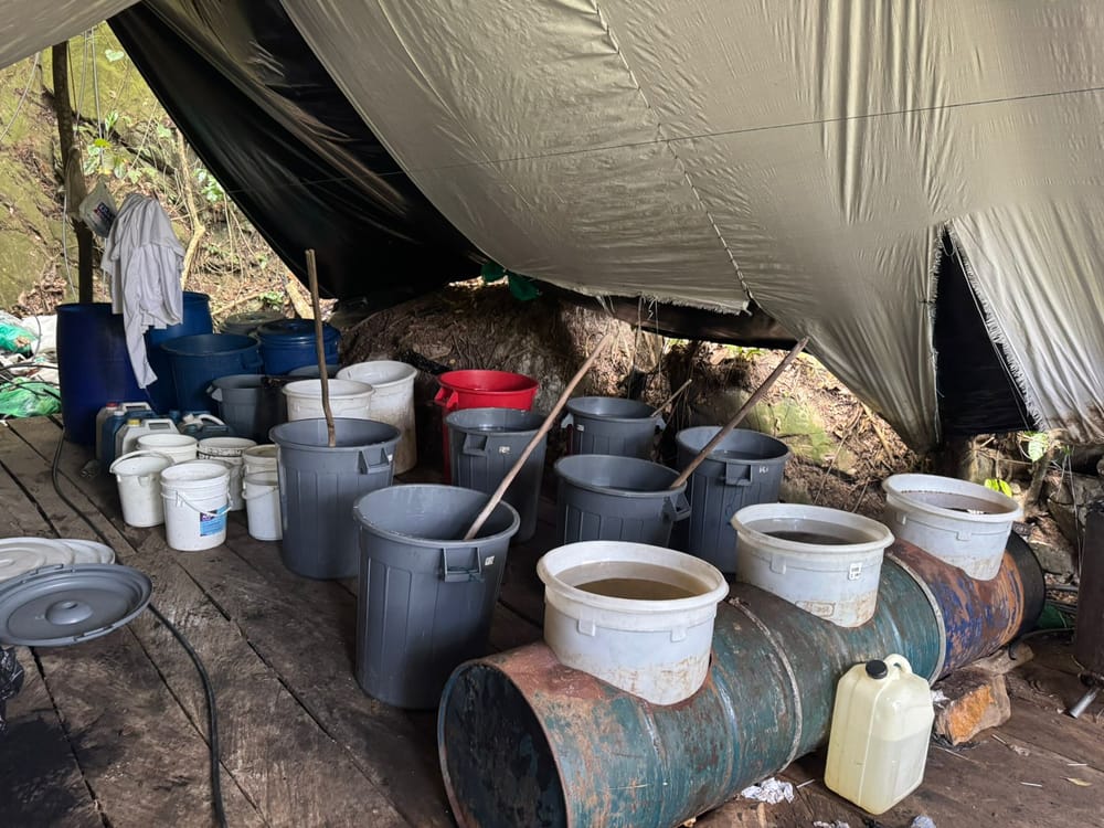 Destruyen millonario laboratorio de cocaína del ELN en Norte de Santander imagen de la publicación