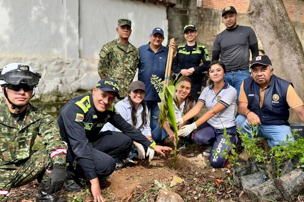 Avanza la reforestación en Santander: más de 3.600 árboles sembrados en nueve municipios imagen de la publicación