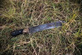 Aterrador Crimen en Santander, Asesinó a mujer junto a su bebé y su mascota imagen de la publicación