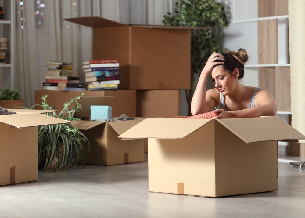 Nueva ley protege a propietarios: ahora pueden desalojar inquilinos morosos sin previo aviso imagen de la publicación