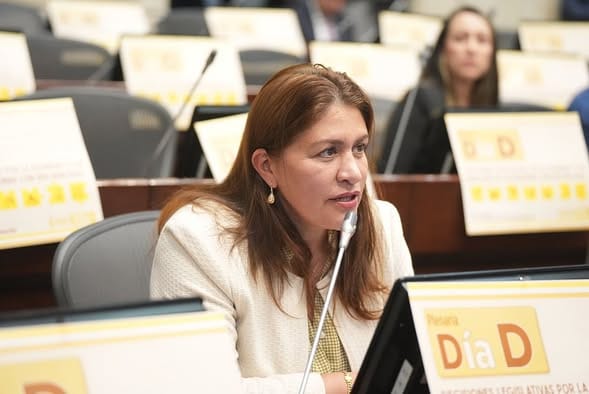 Diela Liliana Benavides Solarte: la senadora conservadora que busca consolidar su liderazgo nacional desde Santander imagen de la publicación