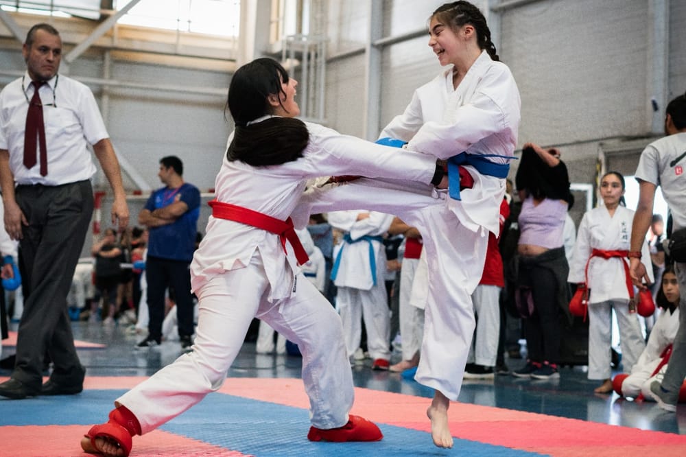 V Copa World Karate Sports Internacional imagen de la publicación