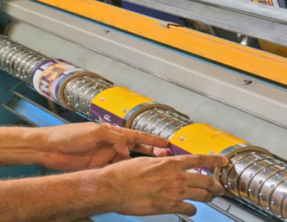 Por un consumo consciente y empaques reciclados: dos fórmulas para liderar en sostenibilidad imagen de la publicación