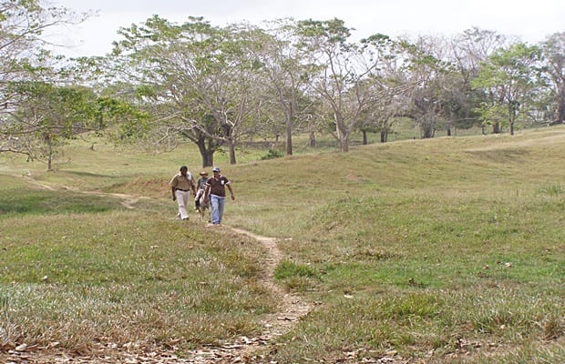 Investigan desplazamientos forzados y despojo de tierras relacionados con el Fondo Ganadero de Córdoba imagen de la publicación