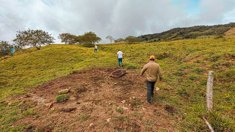 Predios de los hermanos castaño pasaron a manos de asociaciones campesinas imagen de la publicación