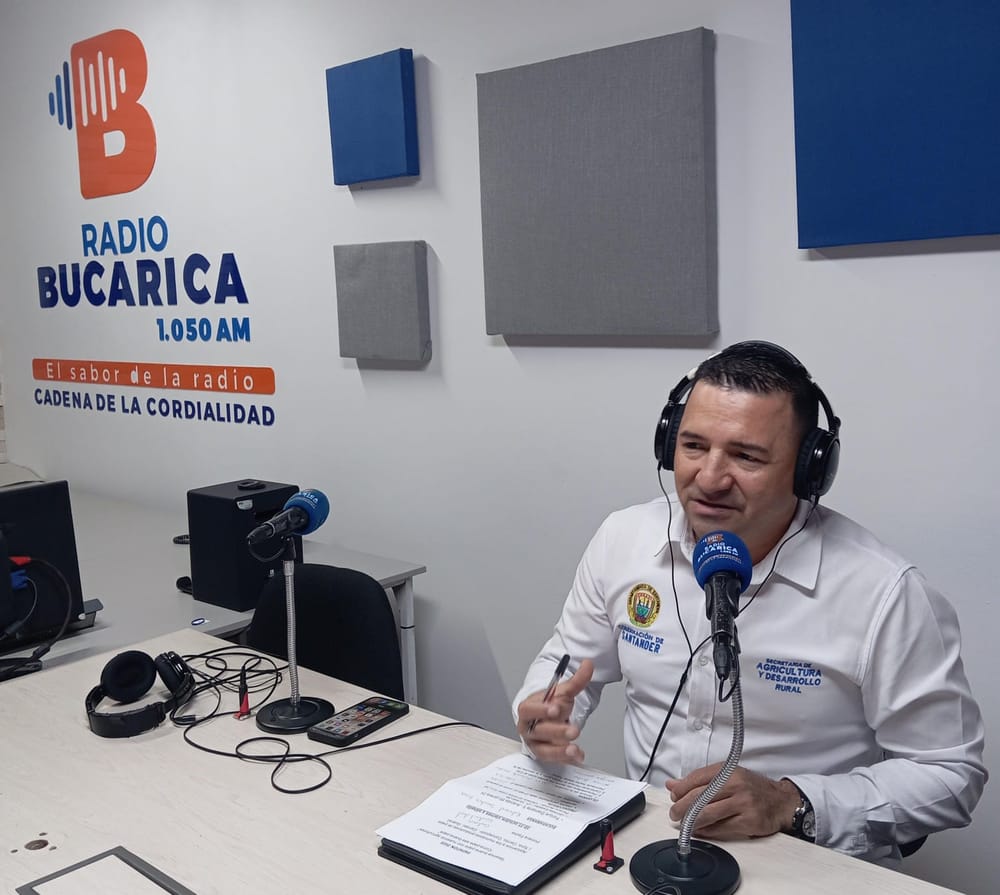 ‘Sea buena papa’ y compre en la ‘Papatón’ Metropolitana imagen de la publicación