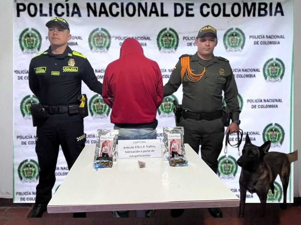 Detienen a joven con más de 260 dosis de marihuana en vía Cúcuta- Bucaramanga imagen de la publicación