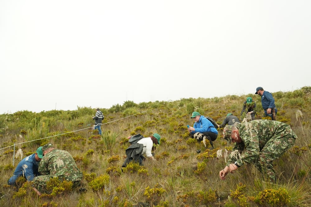 La unión hace la conciencia: Ejército, AMB, la CDMB y Bomberos de Floridablanca se unen por el renacer del páramo de Berlín imagen de la publicación