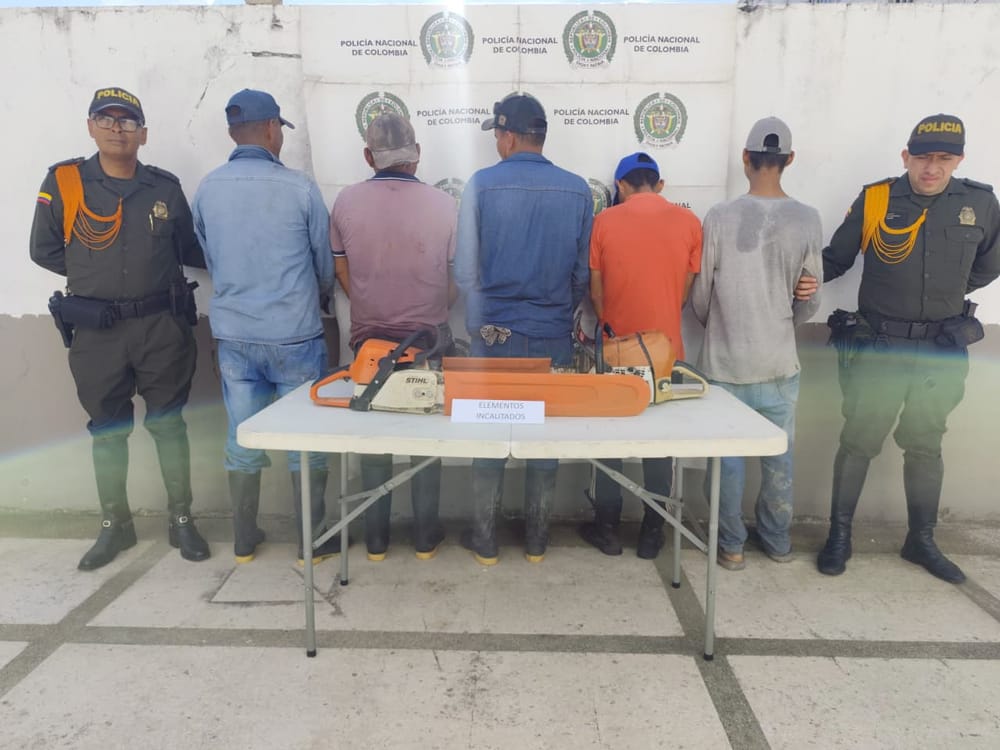 Policía capturó a cinco personas por tala ilegal en Sabana de Torres imagen de la publicación