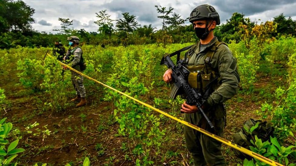 Rutas ocultas de la  guerra en Colombia  Como operan 12 grupos armados imagen de la publicación