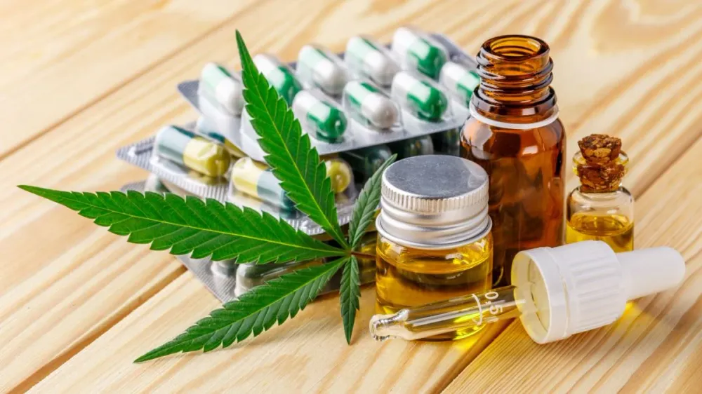 Gobierno autoriza uso médico y científico de la flor de cannabis ¿Por qué se demoraron tanto tiempo? imagen de la publicación