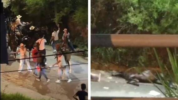 (VIDEO): Sangileños piden sanciones contra la Alcaldía tras muerte de un caballo en medio de una cabalgata imagen de la publicación