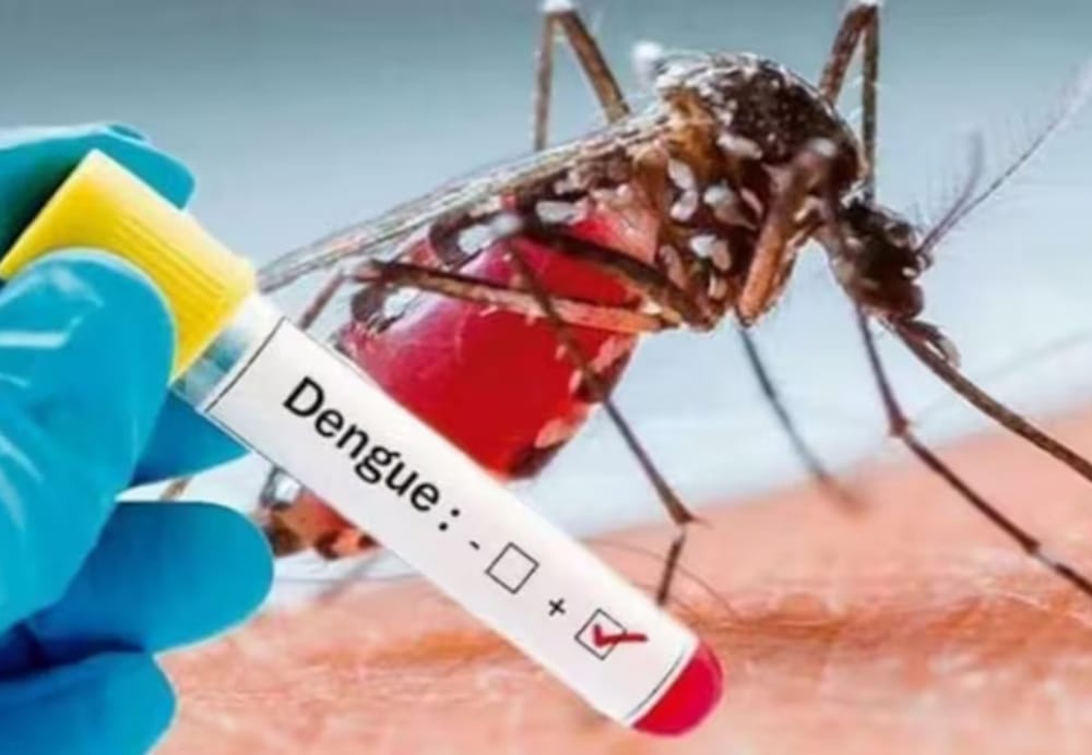 Santander supera 10.000 casos de dengue y es el departamento  más afectado del país imagen de la publicación