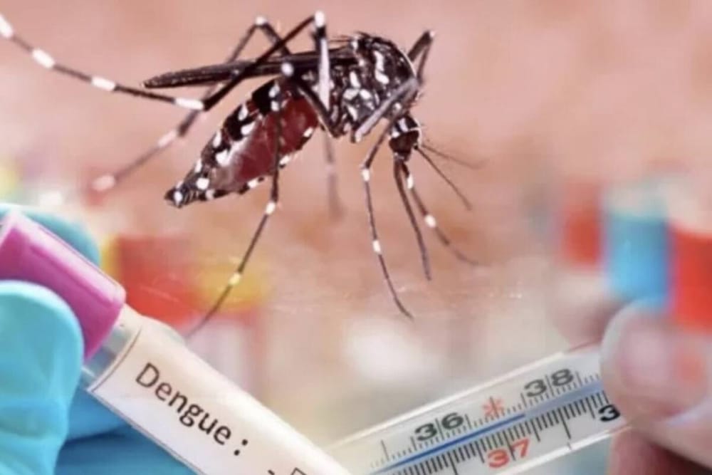 Floridablanca en alerta tras muerte de una niña y dos posibles contagios por dengue imagen de la publicación