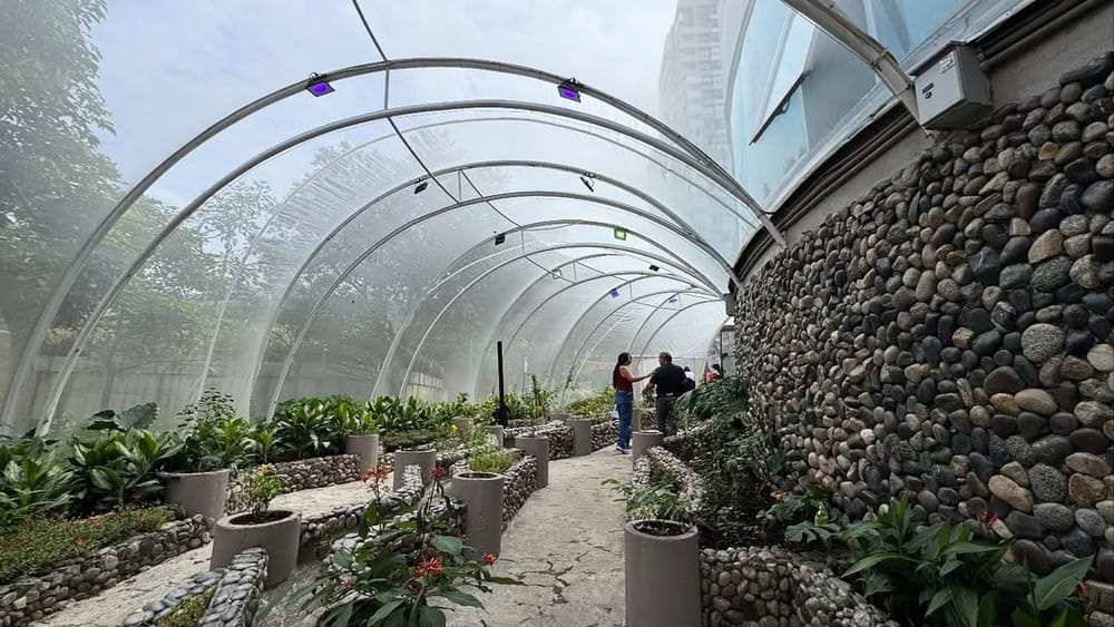 'MariposArte' es el espectáculo de la naturaleza en Neomundo imagen de la publicación