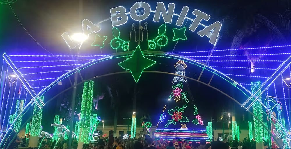 Concejal Cavanzo pide investigación sobre contrato del alumbrado navideño 2025 en Bucaramanga imagen de la publicación