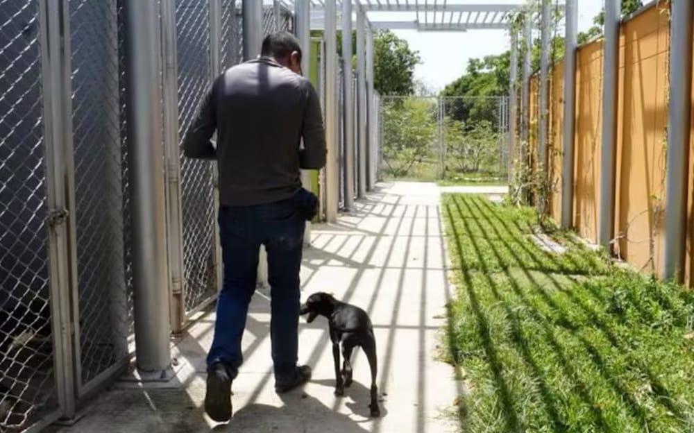 No prosperó moción de censura contra la Secretaria de Salud  Claudia Amaya por denuncias en la UBA imagen de la publicación