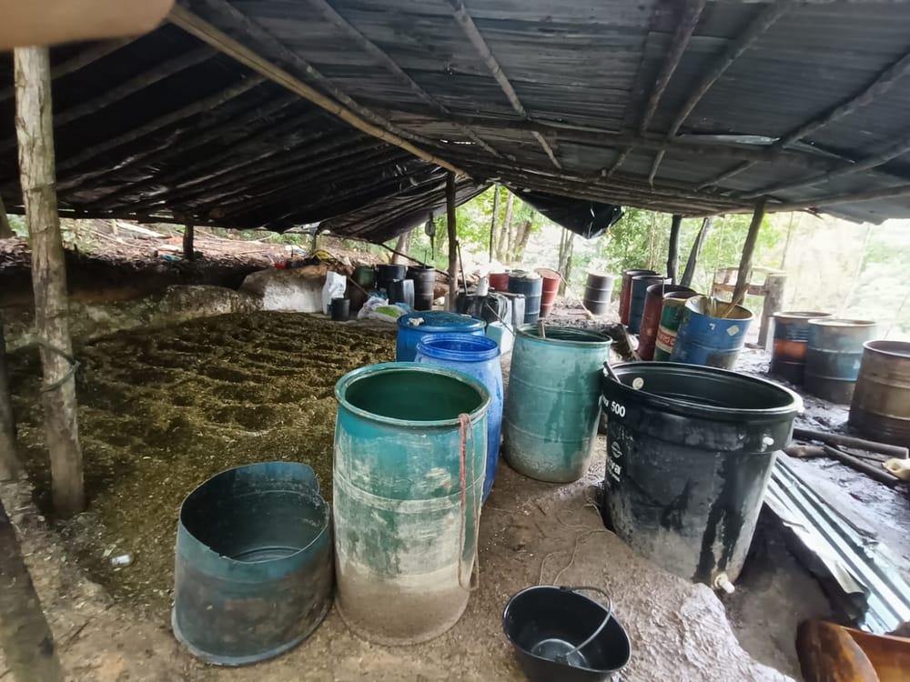 Golpe multimillonario al ELN: Desmantelan megalaboratorio de cocaína en Norte de Santander imagen de la publicación