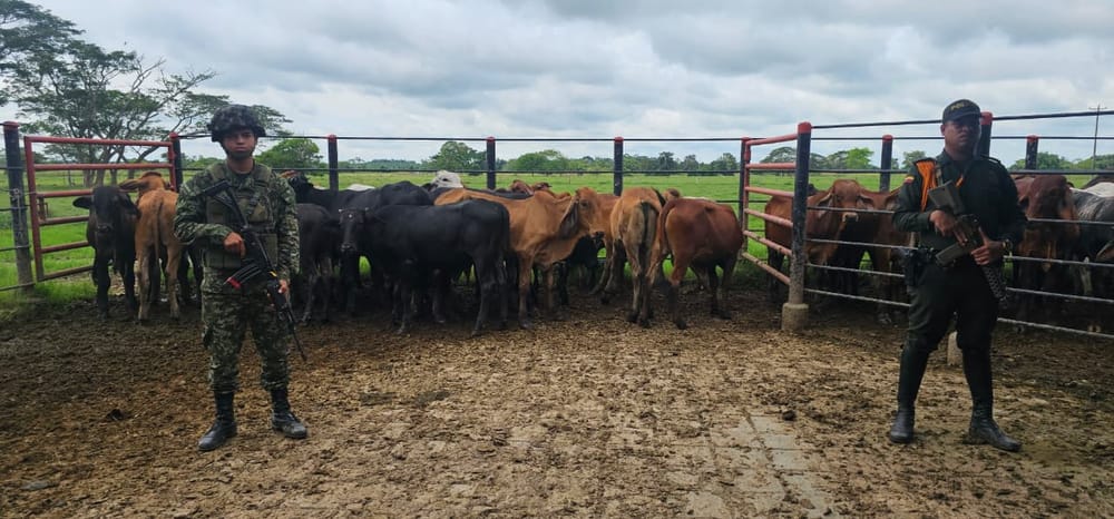 Golpe al Clan del Golfo y al abigeato en Santander imagen de la publicación