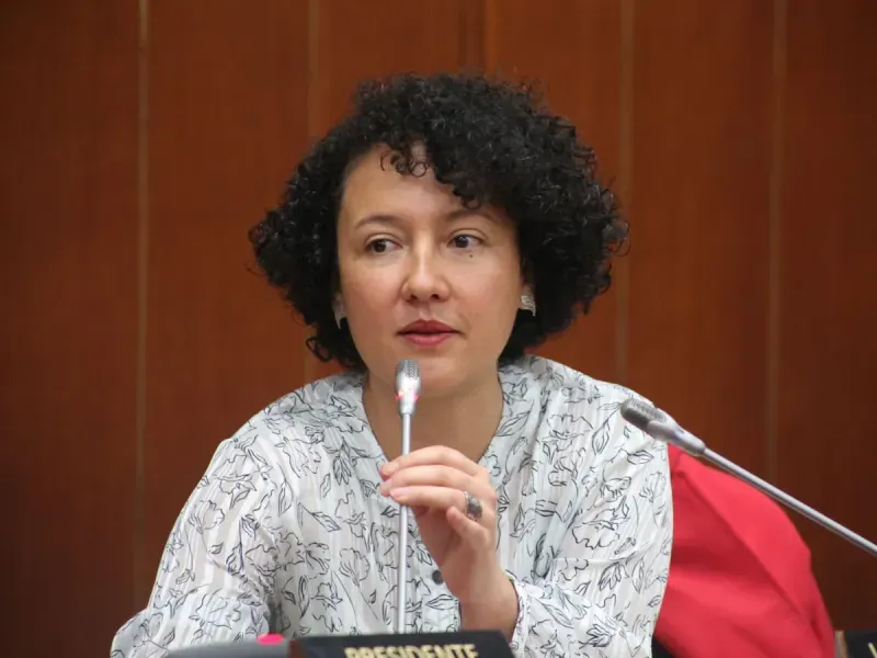 Senadora Isabel Zuleta sería cómplice de grupos armados imagen de la publicación