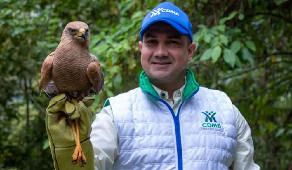 Aumentó recuperación y regreso de fauna silvestre a su hábitat en Santander por parte de la CAV-CDMB imagen de la publicación