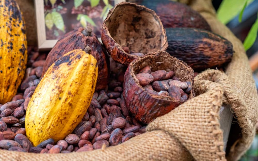 Espectacular crecimiento de las exportaciones de Santander durante 2025 imagen de la publicación