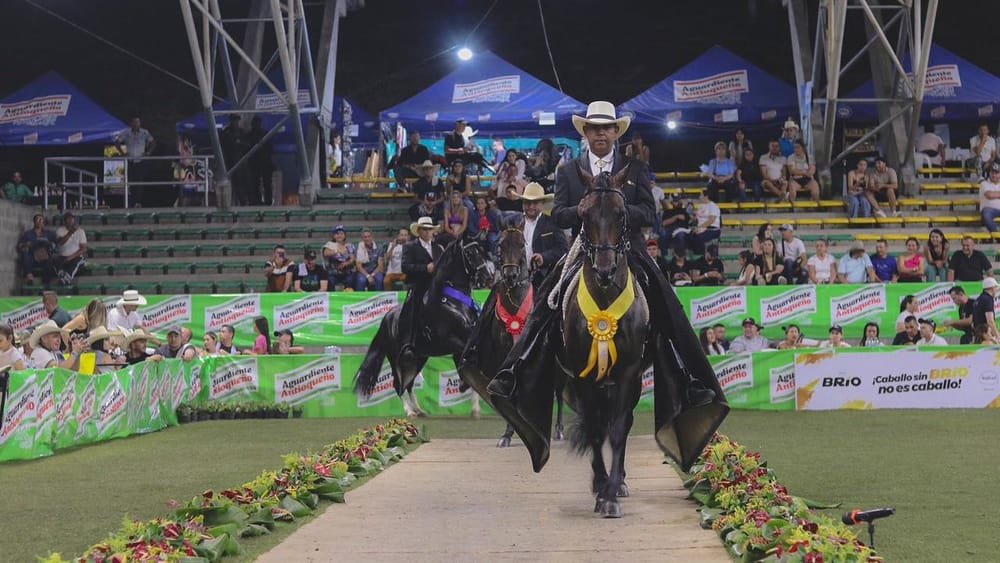 Bucaramanga albergará la versión 42 de la Exposición Nacional Equina imagen de la publicación