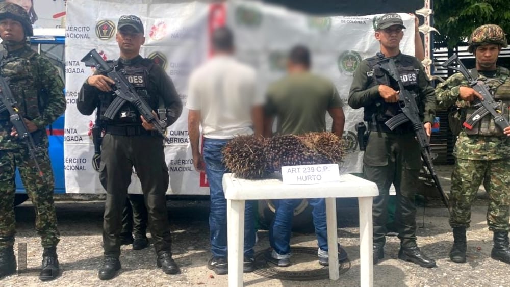 Dos hombres fueron capturados por hurto de fruto de palma en zona rural de Sabana de Torres imagen de la publicación