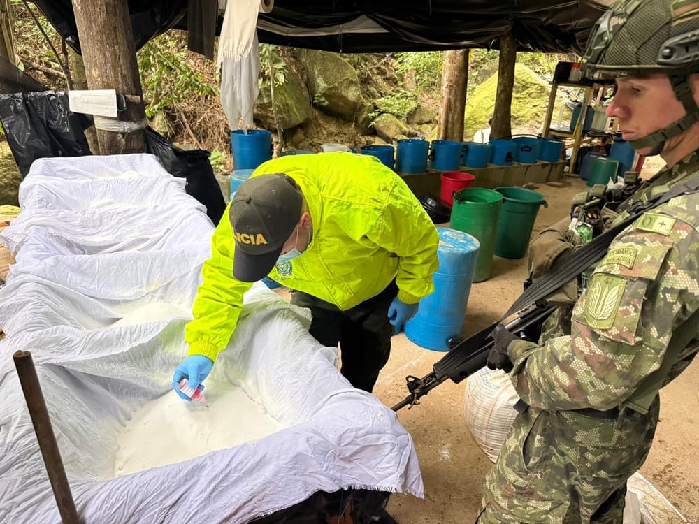 Destruido complejo cocalero del ELN que contenía insumos por más de seis mil millones de pesos imagen de la publicación