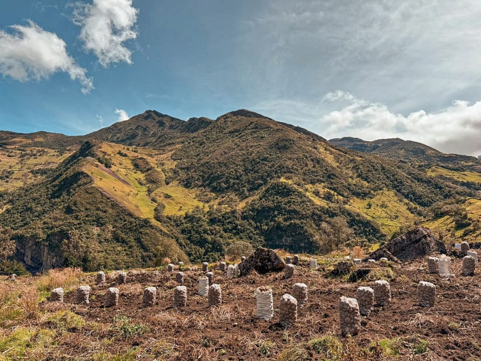 ANT titula 3.042 hectáreas a 256 mujeres rurales en Santander imagen de la publicación