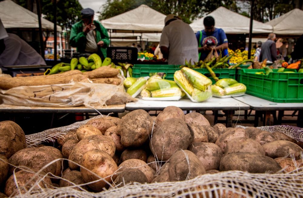 Venda sin intermediarios: inscríbase a la gran rueda de negocios imagen de la publicación