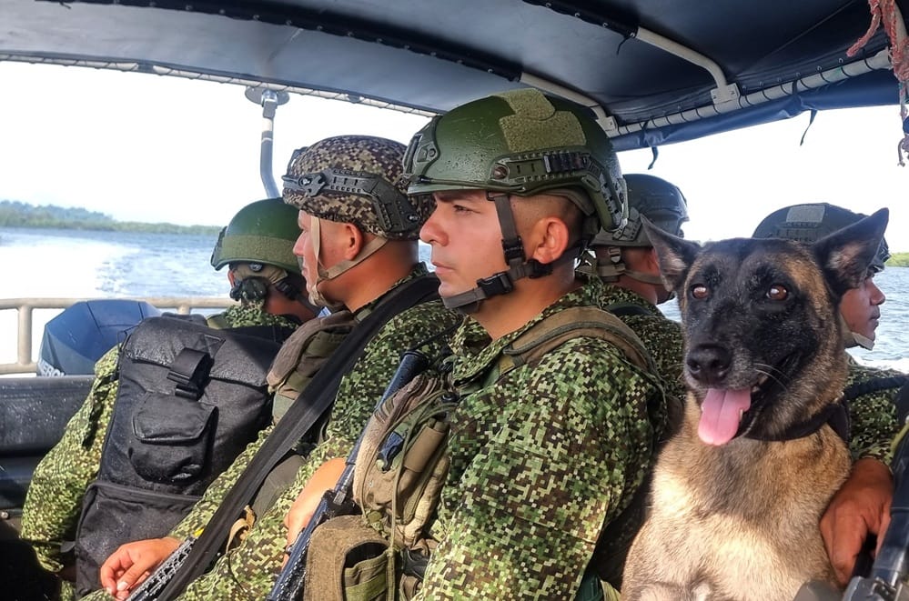 15 mil militares blindarán las elecciones en Santander imagen de la publicación