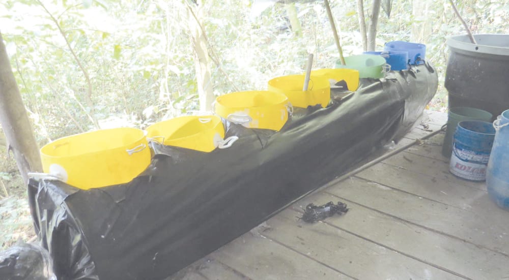 Destruida gigantesca ‘cocina’ de  coca perteneciente al ELN imagen de la publicación