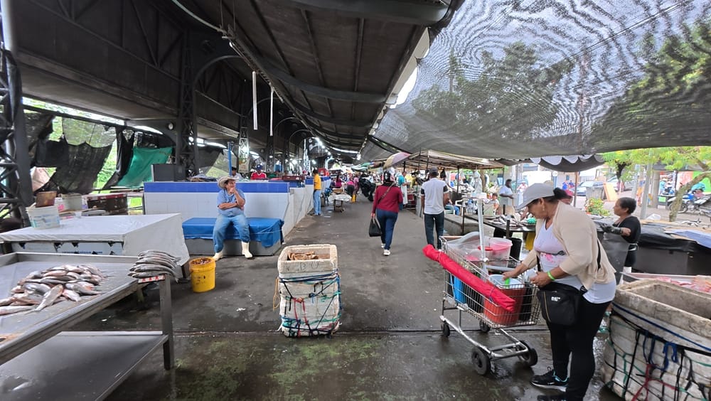 Operativos en el mercado de Barrancabermeja dirigidos a prevenir riesgos para la salud imagen de la publicación