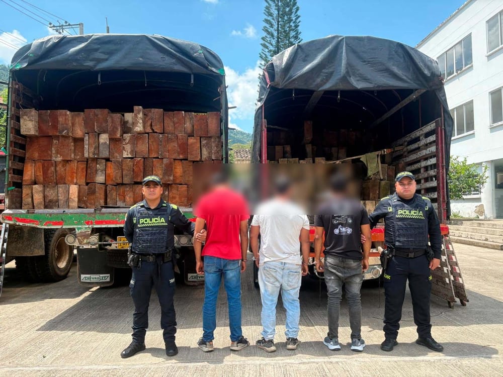 Capturan a tres personas por explotación ilegal de madera en zona rural de Rionegro imagen de la publicación