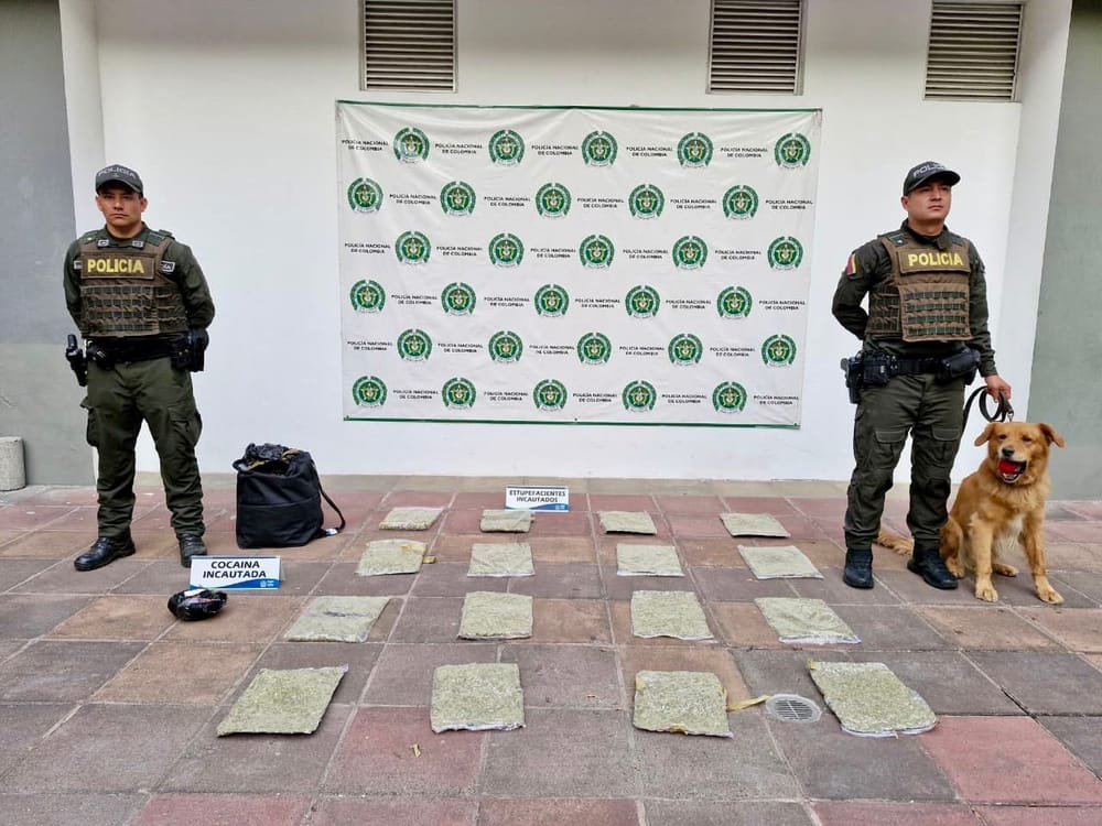 Canino “Yordi” destapa millonario cargamento de droga en terminal de San Gil imagen de la publicación