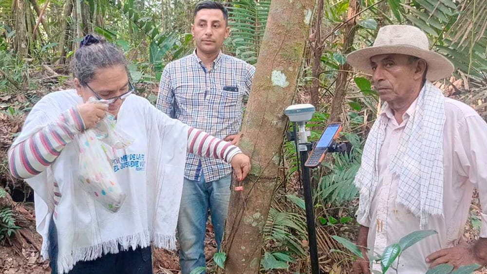 2 mil 700 hectáreas, la restitución más grande a una familia campesina desplazada por paramilitares imagen de la publicación