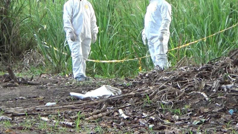 Crimen atroz en Santander: Encuentran cuerpo de adolescente con signos de violencia en zona rural imagen de la publicación