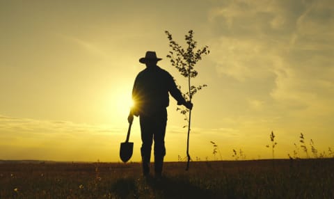 ABC de la justicia agraria, la jurisdicción que caminará de la mano de los campesinos imagen de la publicación